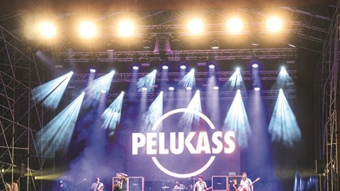 Pelukass