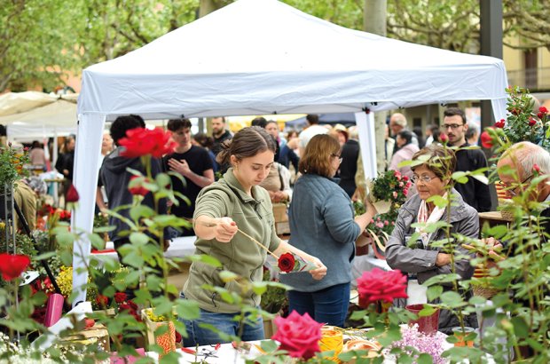 Imatge principal de la galeria