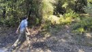 Flaixos | Un nou estudi mesurarà l'impacte dels visitants sobre els mamífers i les aus de l'Alta Garrotxa