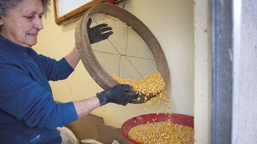 El farro, una farina amb història