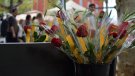 Flaixos | De camí a Sant Jordi